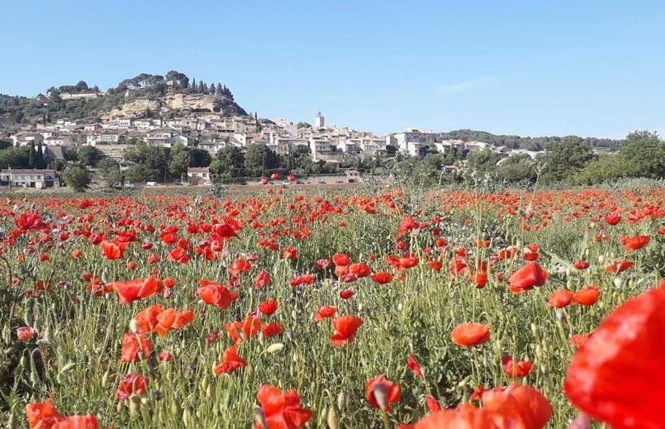 Апартаменты L'Amanderaie Piscine Privee A Cote De Lourmarin Luberon Кадне Экстерьер фото