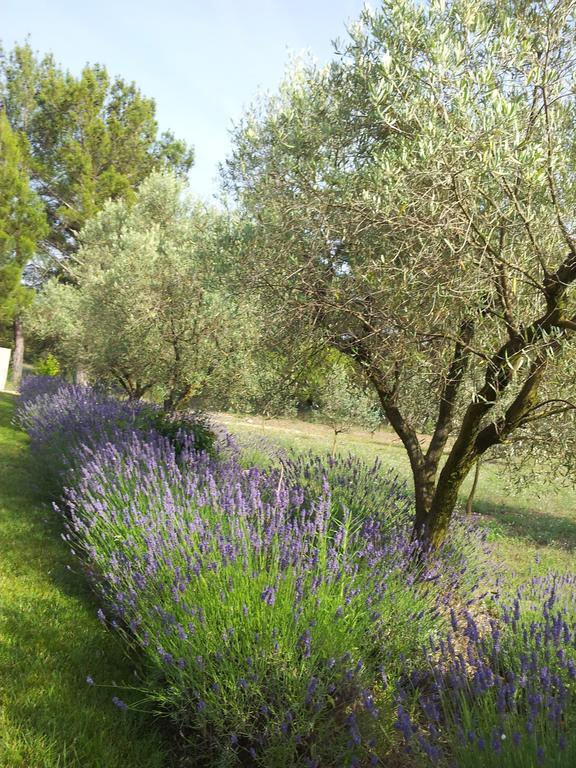 Апартаменты L'Amanderaie Piscine Privee A Cote De Lourmarin Luberon Кадне Номер фото